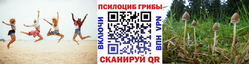 как найти   Пыть-Ях  Псилоцибиновые грибы ЛСД 
