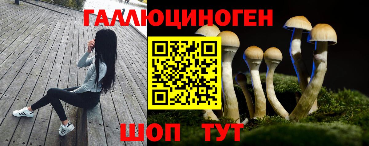 Псилоцибиновые грибы Psilocybe Пыть-Ях