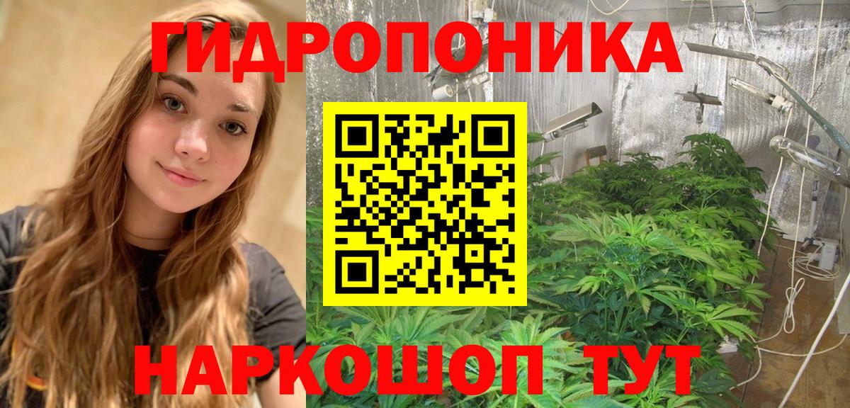 Шишки марихуана сатива Пыть-Ях
